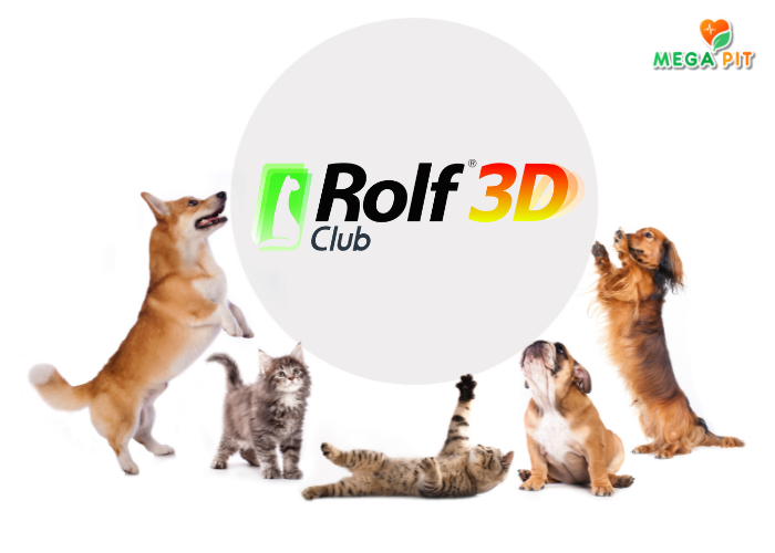 Rolf Club 3D | РОЛФ КЛУБ 3D | Купить КАЗАХСТАН ➤ Алматы | Астана | Караганда | Megapit.kz