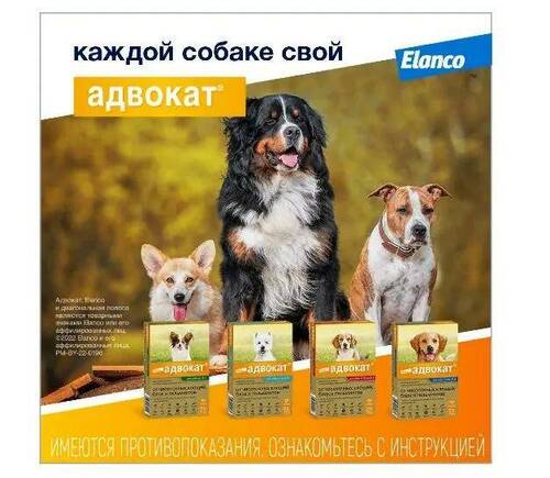 Bayer, Адвокат, Капли от клещей и блох для собак 4-10 кг, 3 пипетки по 1 мл