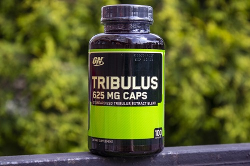 Optimum Nutrition Трибулус, Tribulus 625 мг, 100 капсул