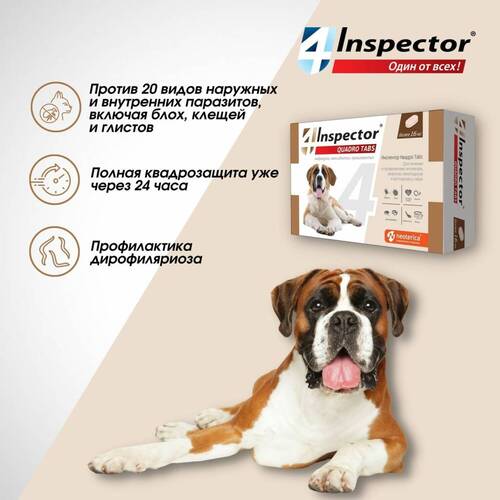 Inspector Quadro C, Инспектор Капли от клещей и блох для собак, 40-60 кг