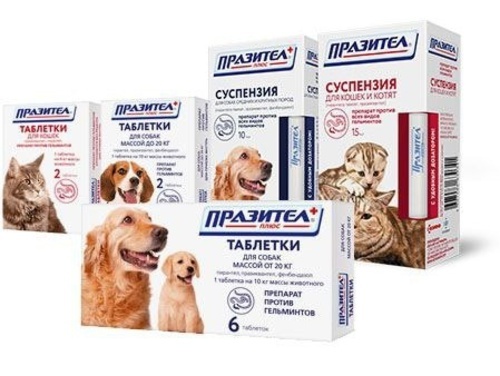 Празител Плюс, Антигельминтик, Таблетки для собак средних и мелких пород, 2 штуки, 1 таб/10 кг