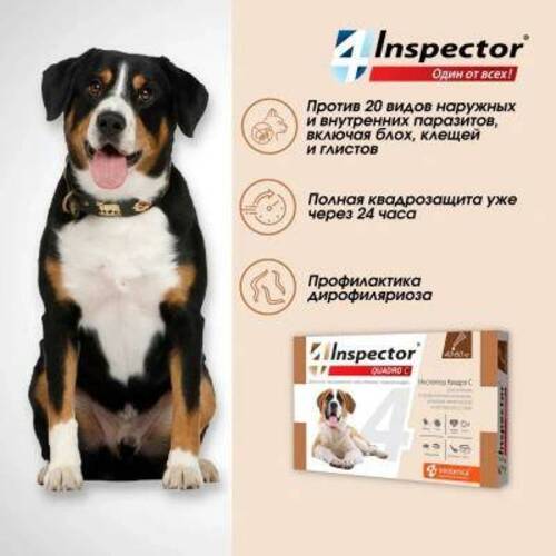 Inspector Quadro C, Инспектор Капли от клещей и блох для собак, 40-60 кг
