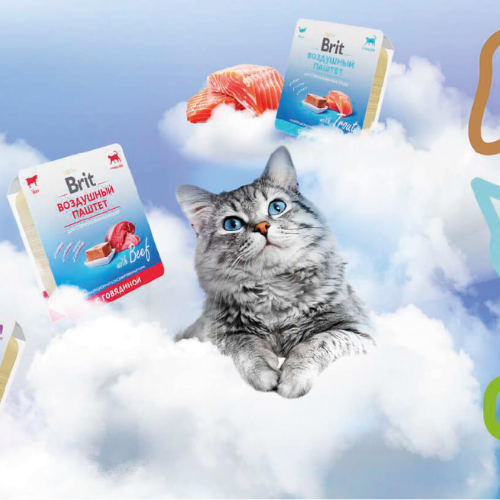 Brit, Воздушный паштет для кошек с Чувствительным пищеварением, Индейка, 100 г