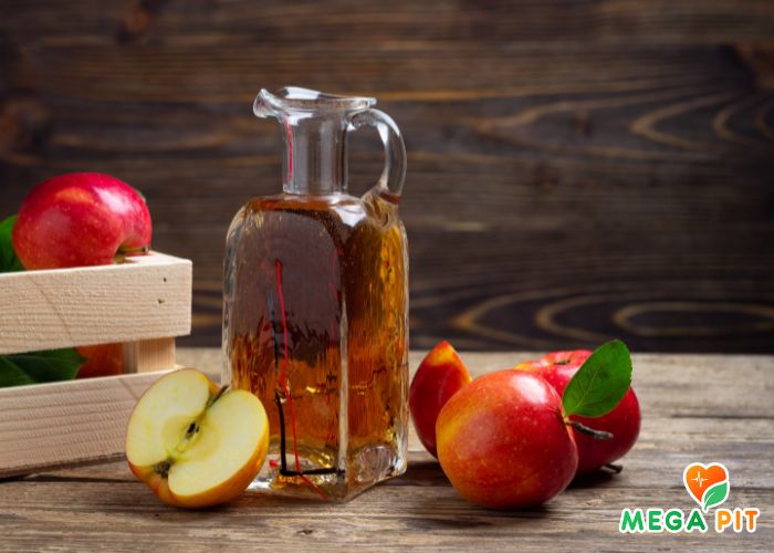 Яблочный УКСУС Купить ᐈ   АКСУ | Доступная Цена  + Доставка  | Megapit.kz