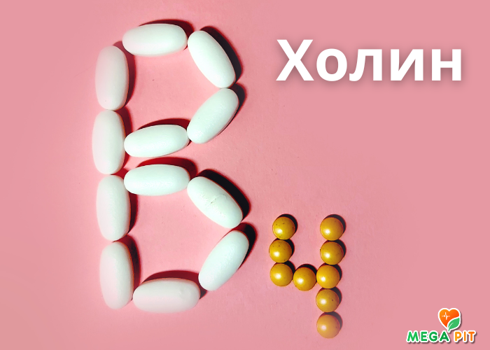 Холин Купить в Аптеке   ➤   ЖИТИКОРА | Доступная Цена  + Доставка  | Megapit.kz
