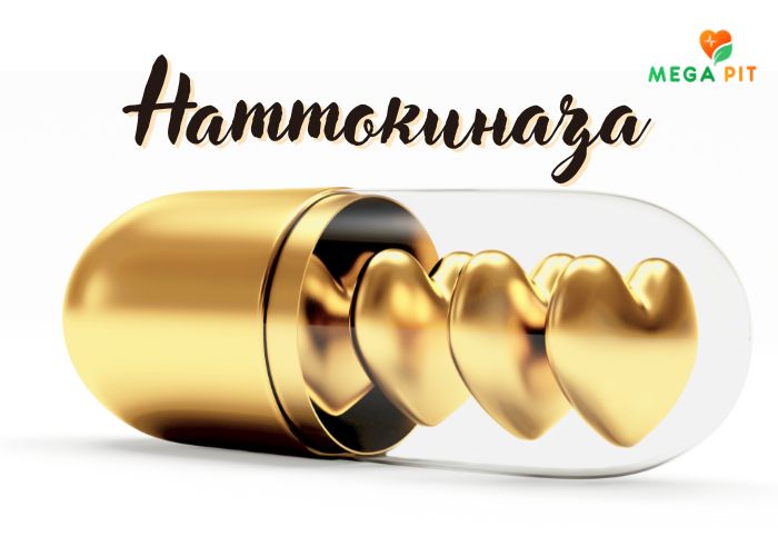 Наттокиназа Япония Купить КАЗАХСТАН ➤ Алматы | Астана | Караганда | Megapit.kz