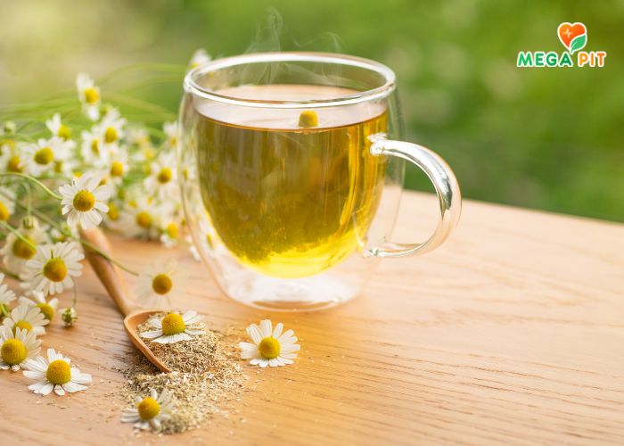 Ромашка аптечная Купить КАЗАХСТАН ➤ Алматы | Астана | Караганда | Megapit.kz