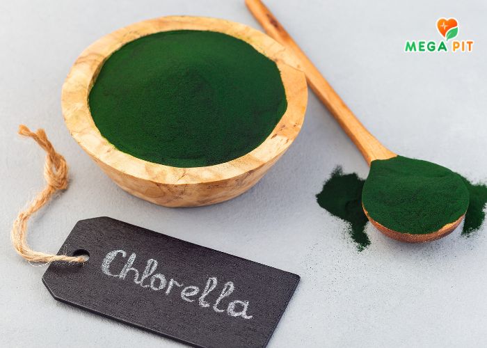 Хлорелла Порошок Купить КАЗАХСТАН ➤ Алматы | Астана | Караганда | Megapit.kz