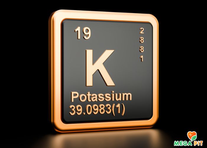 Калий купить в Аптеке  ➤   ШЫМКЕНТ | Доступная Цена  + Доставка  | Megapit.kz