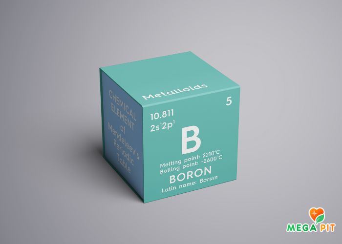 Бор Купить в Аптеке КАЗАХСТАН ➤ Алматы | Астана | Караганда | Megapit.kz