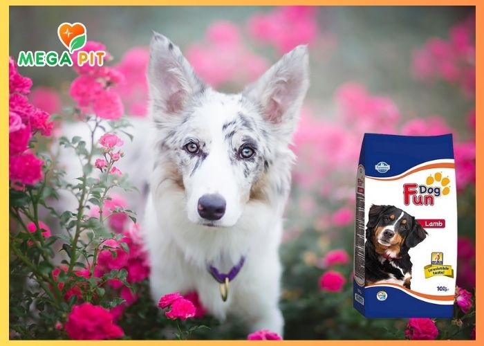  Fun Dog, Сухой Корм для Собак со Вкусом Ягненка→ Farmina  ᐈ Купить в Казахстане | Алматы | Астана | Караганда | Megapit.kz