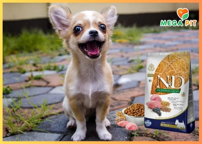 N&D Dog, Беззерновой, Сухой Корм для Собак Мелких Пород со Вкусом Ягненка и Черники→ Farmina  ᐈ Купить в Казахстане | Алматы | Астана | Караганда | Megapit.kz