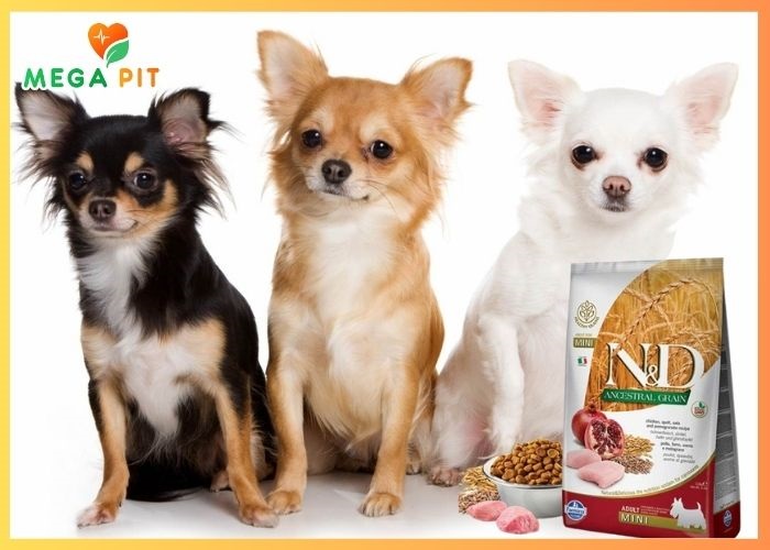 N&D Dog, Беззерновой, Сухой Корм для Собак Мини Пород со Вкусом Курицы, Спельты, и Граната → Farmina  ᐈ Купить в Казахстане | Алматы | Астана | Караганда | Megapit.kz