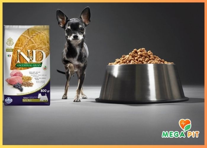 N&D Dog, Беззерновой, Сухой Корм для Собак Мини Пород со Вкусом Ягненка и Черники → Farmina  ᐈ Купить в Казахстане | Алматы | Астана | Караганда | Megapit.kz