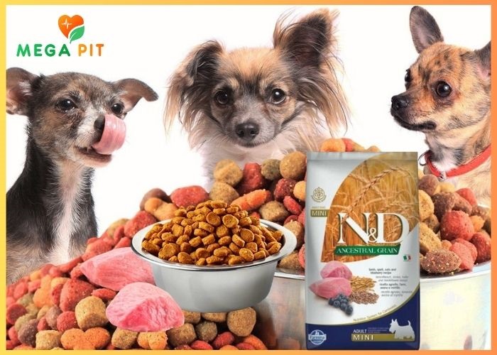 N&D Dog, Беззерновой, Сухой Корм для Собак Мелких Пород со Вкусом Ягненка и Спельты→ Farmina  ᐈ Купить в Казахстане | Алматы | Астана | Караганда | Megapit.kz