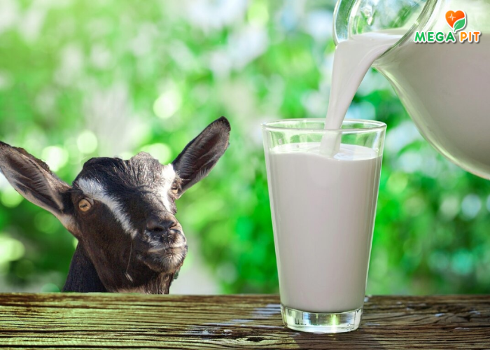 Кокосовый Йогурт со Вкусом Манго → Galamilk  ᐈ Купить в Казахстане | Алматы | Астана | Караганда | Megapit.kz