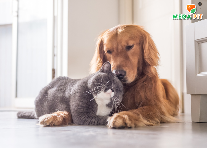 Универсальный, Антипаразитарный Шампунь для Кошек и Собак→  Good Dog&Cat ᐈ Купить в Казахстане | Алматы | Астана | Караганда | Megapit.kz