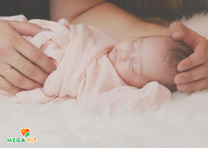Витамины для Беременных и Кормящих, Alive! Daily Support Premium Prenatal → Nature's Way ᐈ Купить в Казахстане | Алматы | Астана | Караганда | Megapit.kz