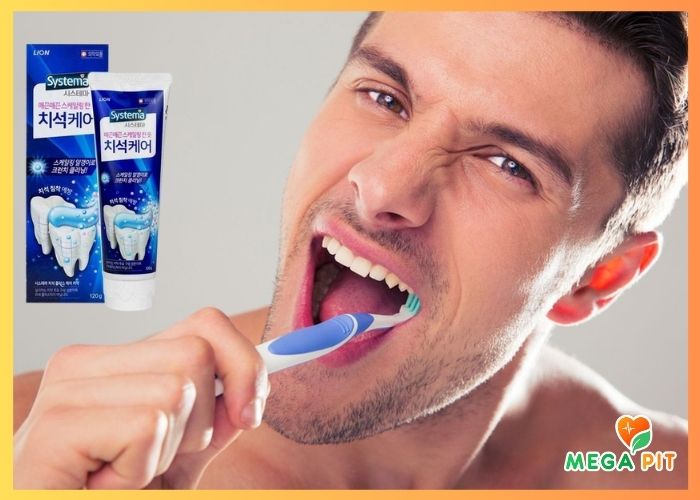  Зубная паста для ПРЕДОТВРАЩЕНИЯ зубного камня, Systema Cavity Plus Care Toothpaste → CJ LION  ᐈ Купить в Казахстане | Алматы | Астана | Караганда | Megapit.kz