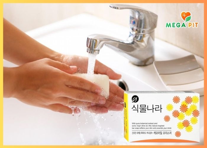 Мыло УВЛАЖНЯЮЩЕЕ с экстрактом Ромашки, Shingmulnara Botanic Nation Camomile Moisture    → CJ LION  ᐈ Купить в Казахстане | Алматы | Астана | Караганда | Megapit.kz