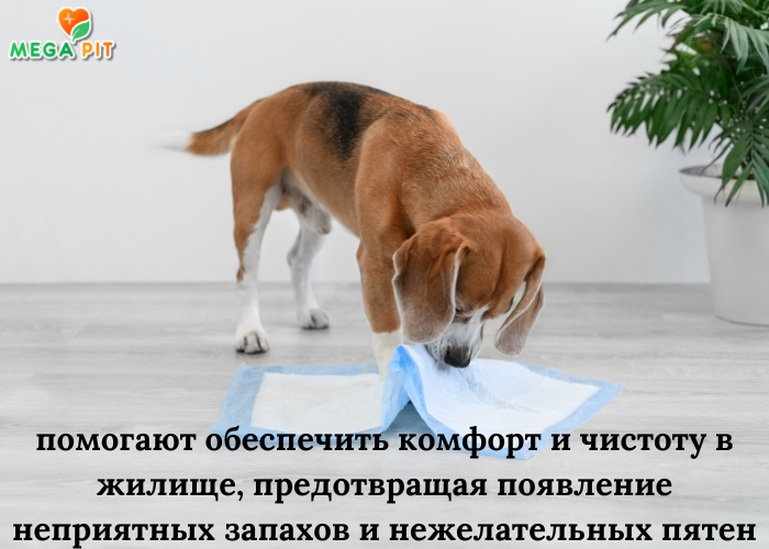 ПЕЛЕНКИ ДЛЯ ЖИВОТНЫХ Купить КАЗАХСТАН ᐈ Алматы | Астана | Караганда | Megapit.kz