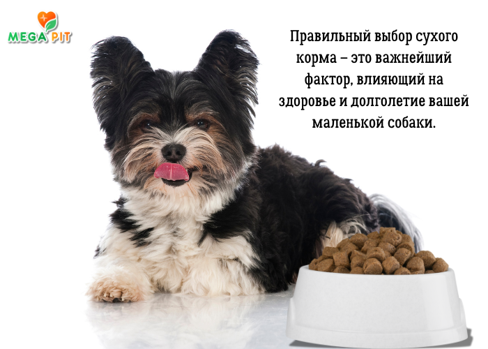 Сухой Корм для Собак Мелких Пород Купить →  Казахстан | Доступная Цена  + Доставка  | Megapit.kz