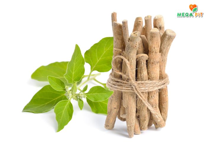 VITALERS ASHWAGANDHA Купить КАЗАХСТАН ➤ Алматы | Астана | Караганда | Megapit.kz