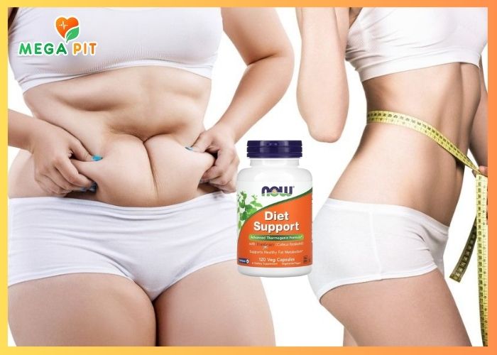  Diet Support, Для быстрого похудения  → Now Foods ᐈ Купить в Казахстане | Алматы | Астана | Караганда | Megapit.kz