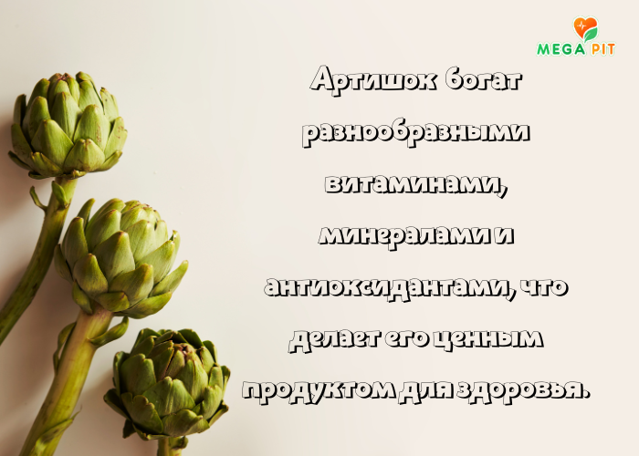 Артишок Купить КАЗАХСТАН ᐈ Алматы | Астана | Караганда | Megapit.kz