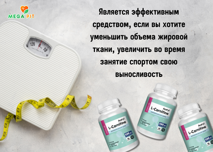 Ацетил L-карнитин →  CHIKALAB ᐈ Купить в Казахстане | Алматы | Астана | Караганда | Megapit.kz
