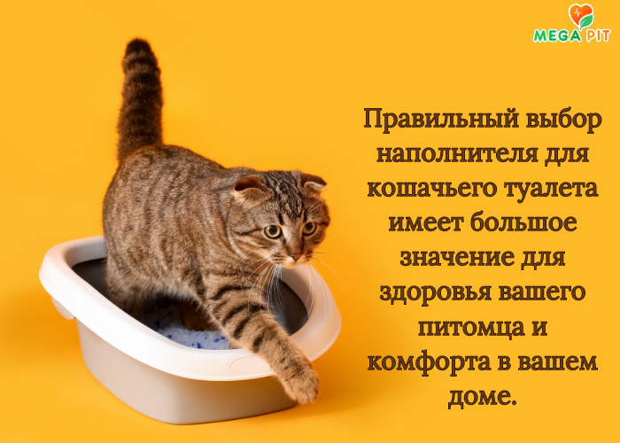 Наполнители для Кошачьего Туалета Купить →  в Казахстане ᐈ Алматы | Астана | Караганда | Megapit.kz