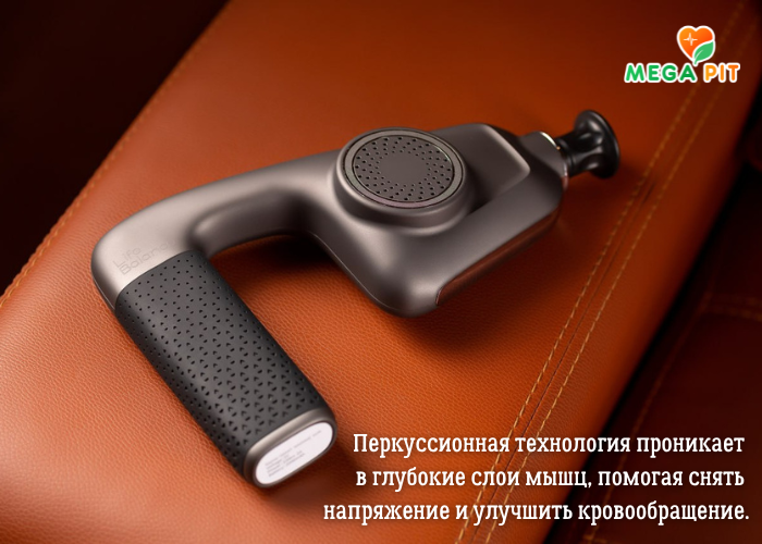 Перкуссионный Массажер Sport  →  Life Balance ᐈ Купить в Казахстане | Алматы | Астана | Караганда | Megapit.kz