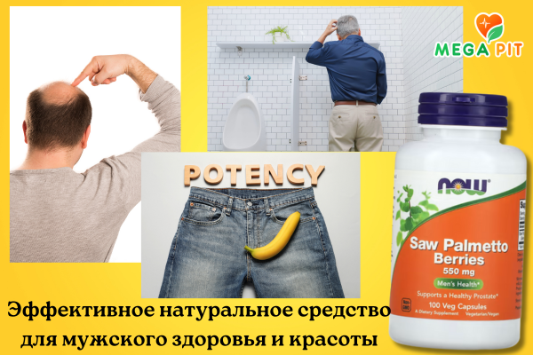 Экстракт Пальмы Сереноа, Saw Palmetto → Now Foods ᐈ Купить в Казахстане | Алматы | Астана | Караганда | Megapit.kz