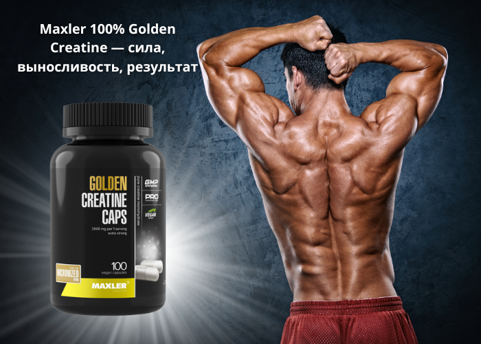 Креатин Моногидрат, 100% Golden Creatine → Maxler  ᐈ Купить в Казахстане | Алматы | Астана | Караганда | Megapit.kz