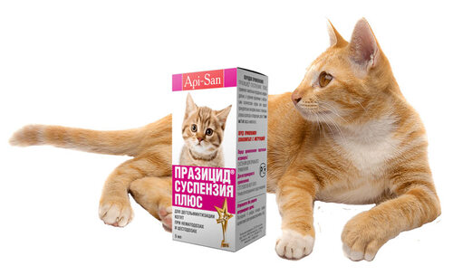 Apicenna, Празицид Плюс, Антигельминтик, Суспензия для котят, 5 мл, 1 мл/1 кг