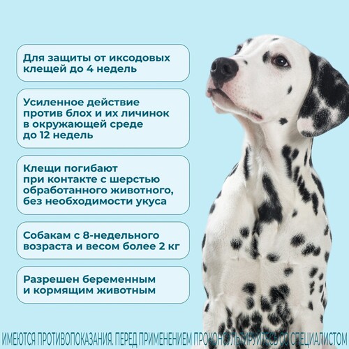 KRKA, Фиприст Комбо, Раствор против клещей и блох для собак от 20 до 40 кг, 1 пипетка 