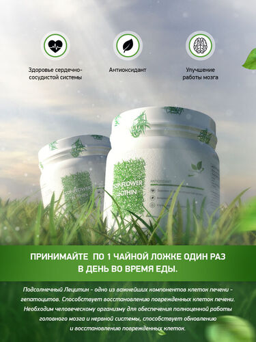 NaturalSupp Лецитин Подсолнечный, 100 гр