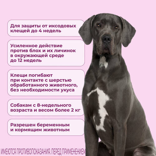 KRKA, Фиприст Комбо, Раствор против клещей и блох для собак от 40 до 60 кг, 1 пипетка 