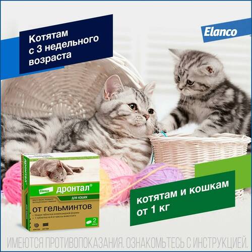 Bayer, Дронтал, Антигельминтик, Таблетки для кошек, 2 штуки, 1 таб/4 кг