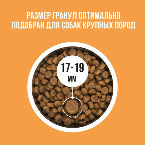Bowl Wow, Сухой корм для собак крупных пород (индейка/курица/рис/тыква) 5 кг