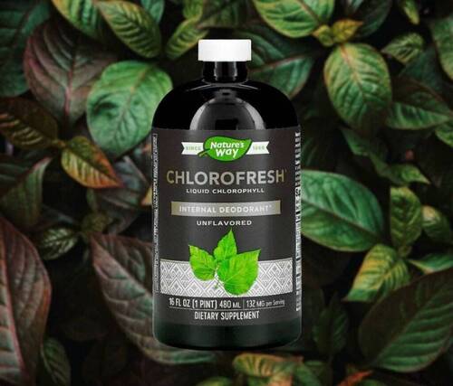 Nature's Way Хлорофилл жидкий со вкусом мяты, Chlorofresh 132 мг, 473 мл