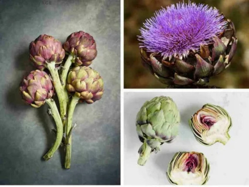 AURORA, Артишок Экстра, Artichoke Extra 150 таб