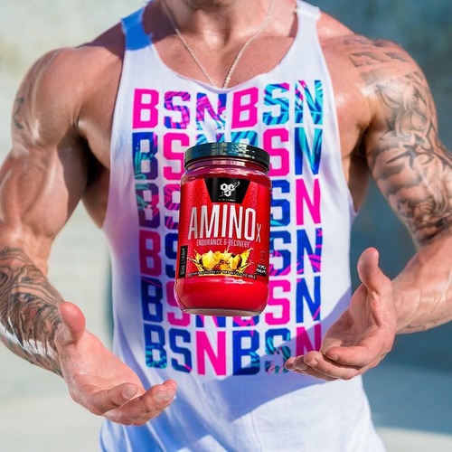 BSN Nutrition Аминокислоты, Amino X 435 гр