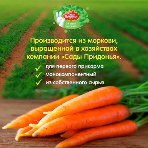 Сады Придонья, Нектар морковный с мякотью с 4 месяцев, 200 мл