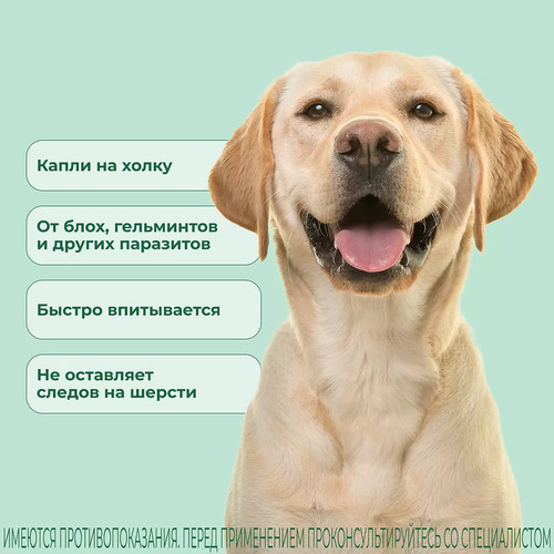 KRKA, Селафорт, Капли против клещей и блох для собак от 20,1-40,0 кг, 1 пипетка