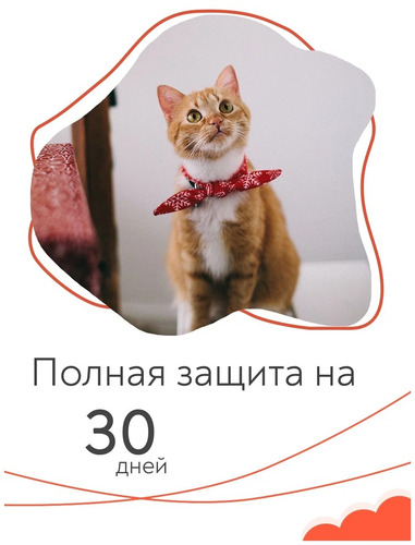 Muzzle Антипаразитарные био капли от блох и клещей (на холку), Для кошек и котят, 1 мл