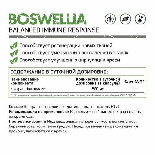 NaturalSupp Экстракт босвеллии 500 мг, 60 капсул