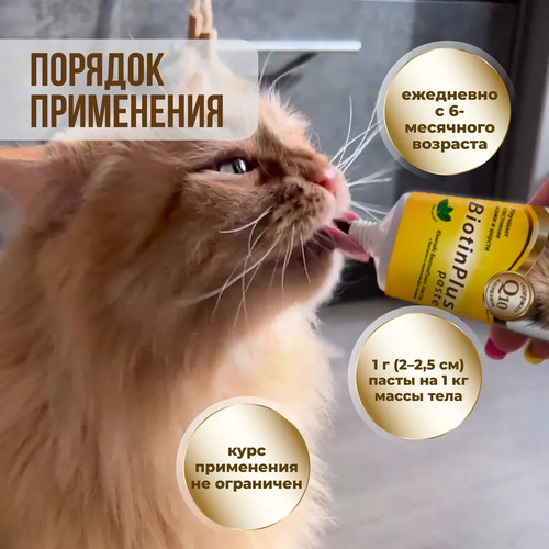 Unitabs, Витаминно-Минеральный комплекс Mama+Kitty c B9 для котят, беременных, кормящих кошек 120 мл