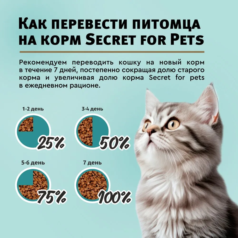 SECRET, Корм для котят, Кусочки в соусе со вкусом ягнёнка, 85 г