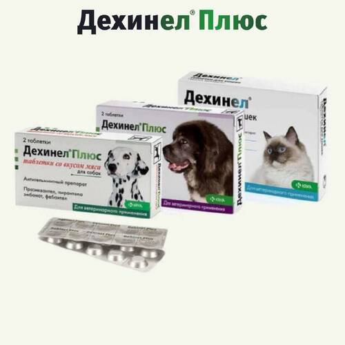 KRKA, Дехинел Плюс, Антигельминтик, Таблетки для собак, 12 штук, 1 таб/35 кг